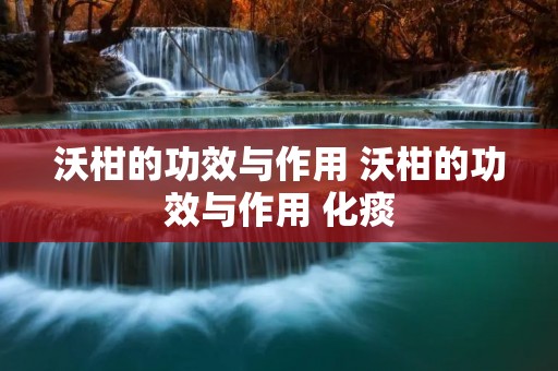 沃柑的功效与作用 沃柑的功效与作用 化痰
