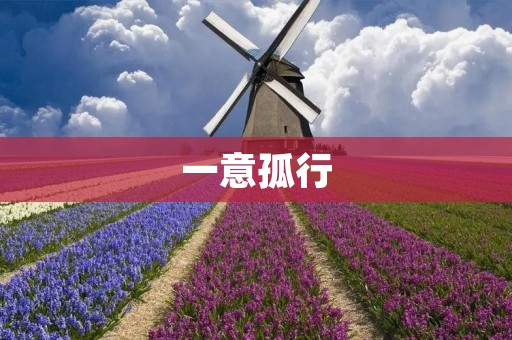 一意孤行：坚持自己的信念