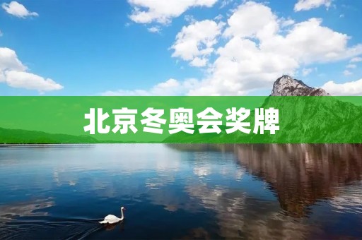 北京冬奥会奖牌：中国冰雪运动的新里程碑