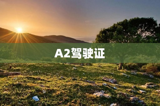 A2驾驶证:让你驾驭更多车型 A2驾驶证:让你驾驭更多车型