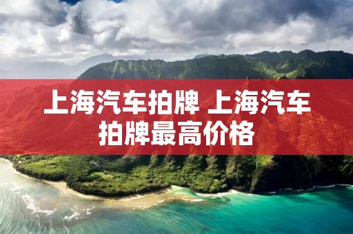 上海汽车拍牌 上海汽车拍牌最高价格 上海汽车拍牌 上海汽车拍牌最高价格