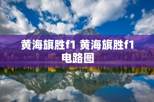 黄海旗胜f1 黄海旗胜f1电路图