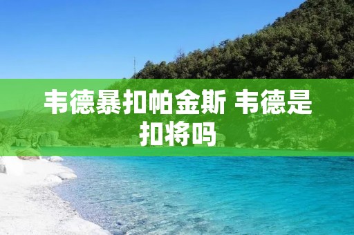 韦德暴扣帕金斯 韦德是扣将吗