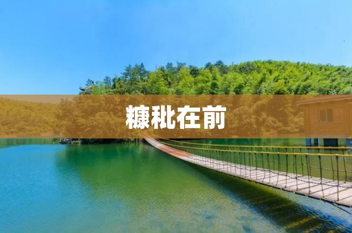 糠秕在前:一种新型的生物质能源 糠秕在前:一种新型的生物质能源