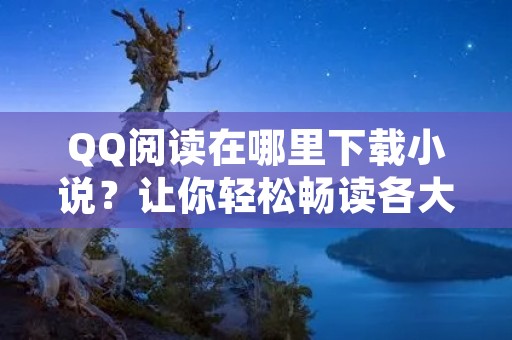 QQ阅读在哪里下载小说?让你轻松畅读各大畅销书籍!