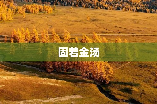 固若金汤：企业经营的核心之道