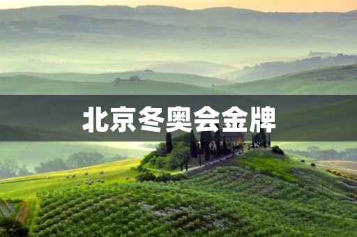 北京冬奥会金牌：中国运动员冲击世界舞台的新篇章