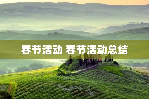 春节活动 春节活动总结