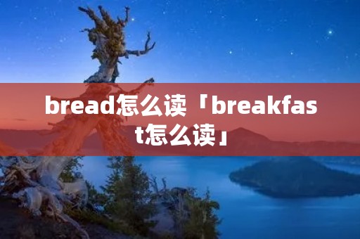bread怎么读「breakfast怎么读」