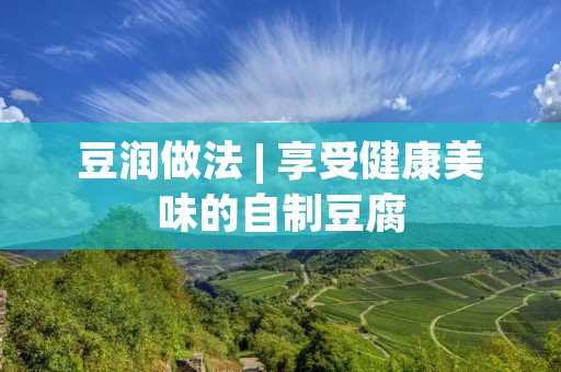 豆润做法 | 享受健康美味的自制豆腐 豆润做法 | 享受健康美味的自制豆腐