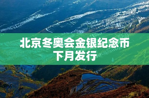 北京冬奥会金银纪念币下月发行