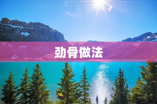 劲骨做法:让你的菜肴更加美味 劲骨做法:让你的菜肴更加美味
