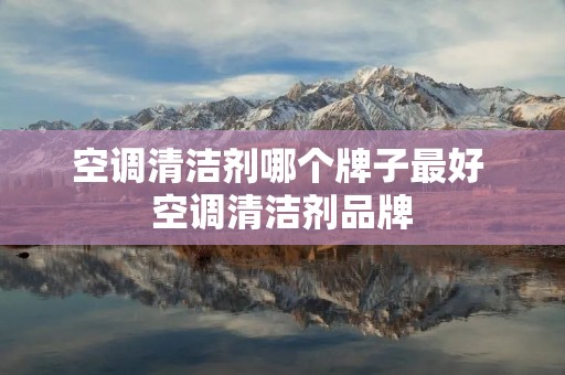 空调清洁剂哪个牌子最好 空调清洁剂品牌