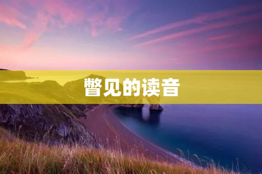 瞥见的读音