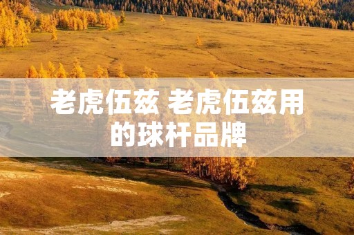 老虎伍兹 老虎伍兹用的球杆品牌