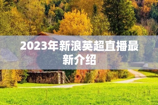 2023年新浪英超直播最新介绍 2023年新浪英超直播最新介绍
