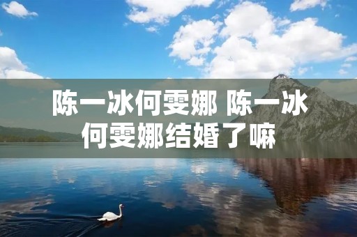 陈一冰何雯娜 陈一冰何雯娜结婚了嘛