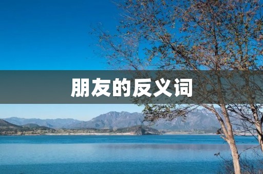 朋友的反义词：敌人