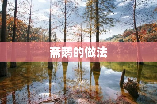 斋鹅的做法:清香味美,让你回味无穷 斋鹅的做法:清香味美,让你回味无穷