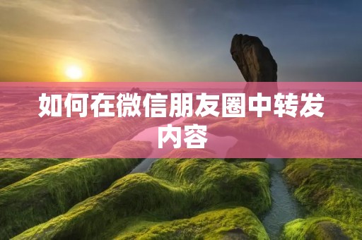 如何在微信朋友圈中转发内容