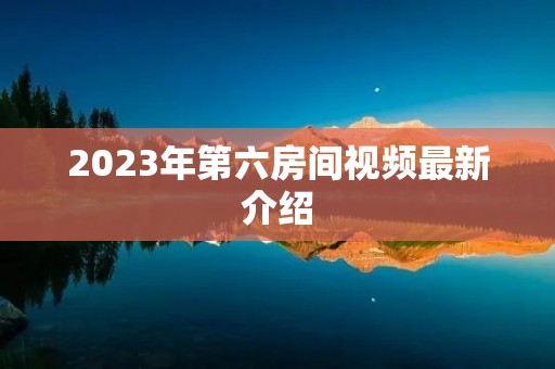 2023年第六房间视频最新介绍