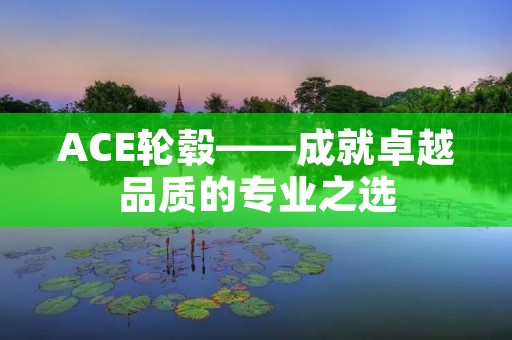 ACE轮毂——成就卓越品质的专业之选