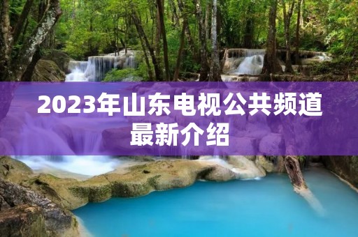 2023年山东电视公共频道最新介绍 2023年山东电视公共频道最新介绍