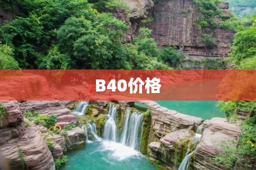 B40价格：高性价比的选择