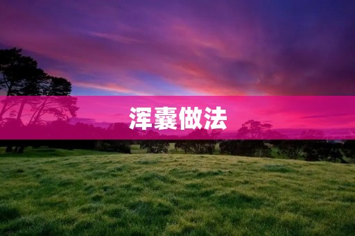 浑囊做法：让你的菜更加入味