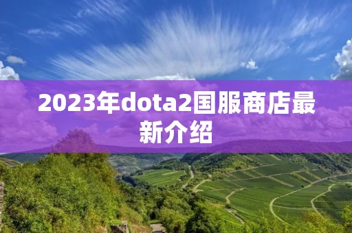 2023年dota2国服商店最新介绍
