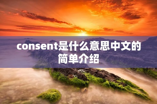 consent是什么意思中文的简单介绍