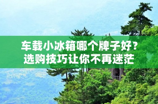 车载小冰箱哪个牌子好？选购技巧让你不再迷茫