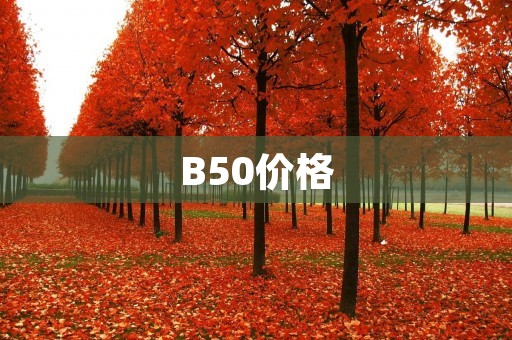 B50价格:轻薄商务笔记本的最佳选择 B50价格:轻薄商务笔记本的最佳选择