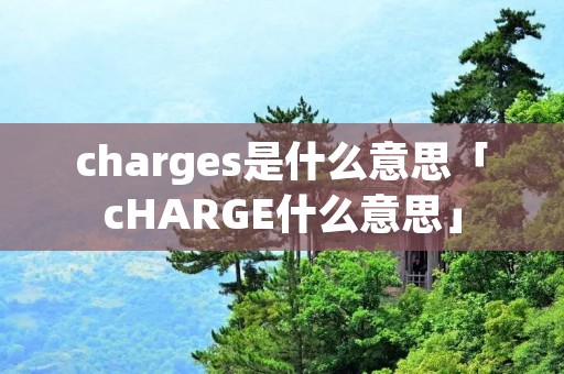 charges是什么意思「cHARGE什么意思」