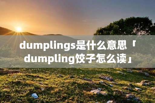 dumplings是什么意思「dumpling饺子怎么读」