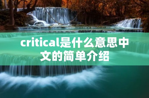 critical是什么意思中文的简单介绍