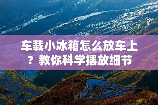 车载小冰箱怎么放车上？教你科学摆放细节