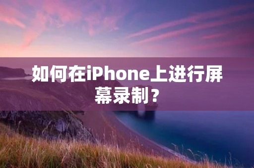 如何在iPhone上进行屏幕录制?
