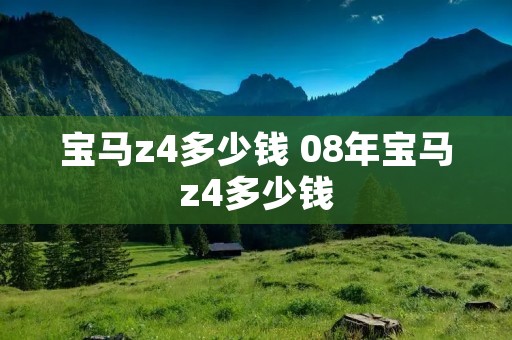 宝马z4多少钱 08年宝马z4多少钱