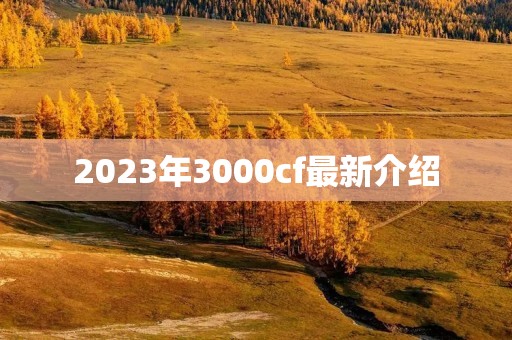 2023年3000cf最新介绍