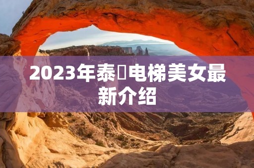 2023年泰囧电梯美女最新介绍