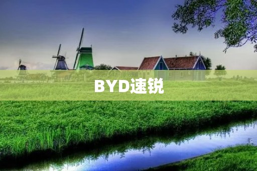 BYD速锐：一款强劲动力的家用轿车