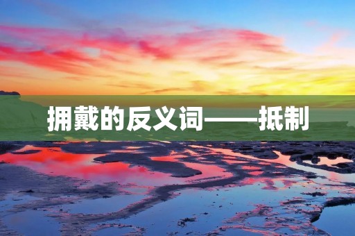 拥戴的反义词——抵制