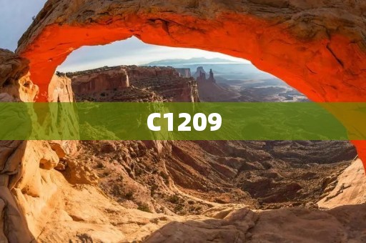 C1209：一种新型的高科技材料