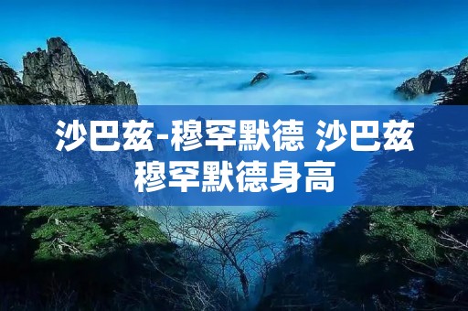沙巴兹-**** 沙巴兹****身高