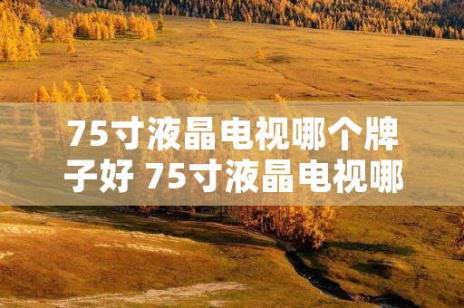 75寸液晶电视哪个牌子好 75寸液晶电视哪个牌子好用