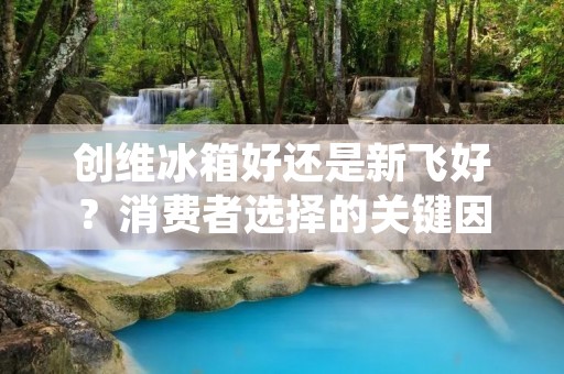 创维冰箱好还是新飞好?消费者选择的关键因素是什么? 创维冰箱好还是新飞好?消费者选择的关键因素是什么?