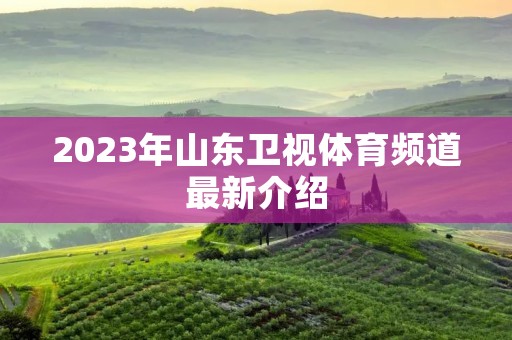 2023年山东卫视体育频道最新介绍