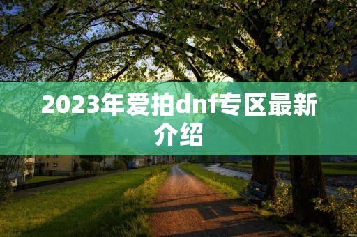 2023年爱拍dnf专区最新介绍