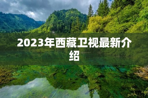 2023年**卫视最新介绍